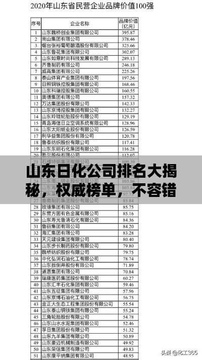 山东日化公司排名大揭秘，权威榜单，不容错过！