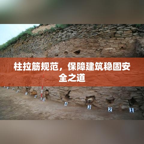 柱拉筋规范，保障建筑稳固安全之道
