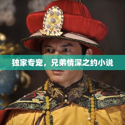 独家专宠，兄弟情深之约小说