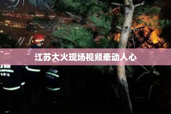江苏大火现场视频牵动人心