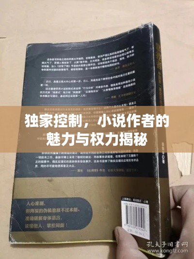 独家控制，小说作者的魅力与权力揭秘