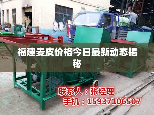 福建麦皮价格今日最新动态揭秘