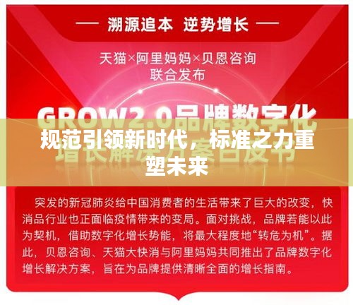 规范引领新时代，标准之力重塑未来