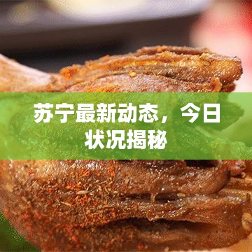 苏宁最新动态，今日状况揭秘