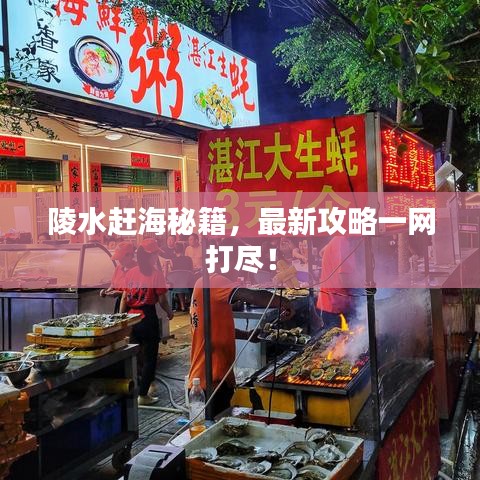 陵水赶海秘籍，最新攻略一网打尽！