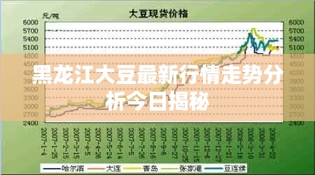 黑龙江大豆最新行情走势分析今日揭秘