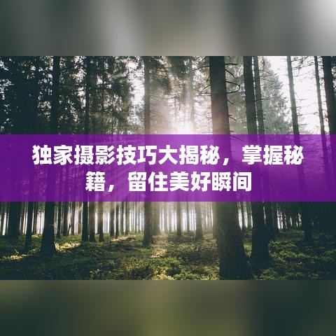 独家摄影技巧大揭秘，掌握秘籍，留住美好瞬间