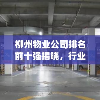 柳州物业公司排名前十强揭晓，行业领军者的耀眼风采展示！