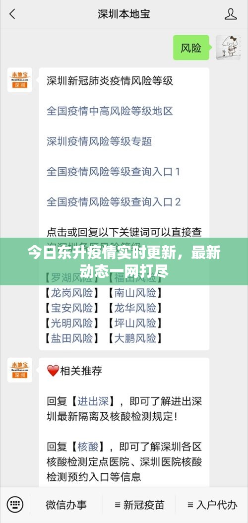 今日东升疫情实时更新，最新动态一网打尽
