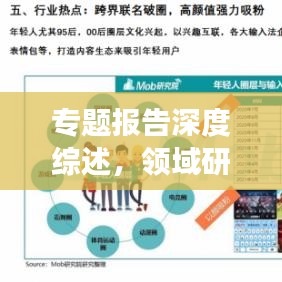 专题报告深度综述，领域研究的洞察与解析