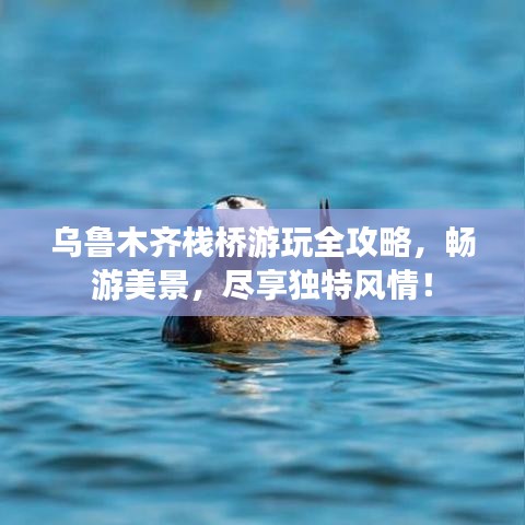 乌鲁木齐栈桥游玩全攻略，畅游美景，尽享独特风情！