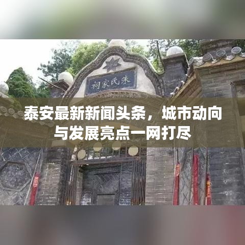 泰安最新新闻头条，城市动向与发展亮点一网打尽