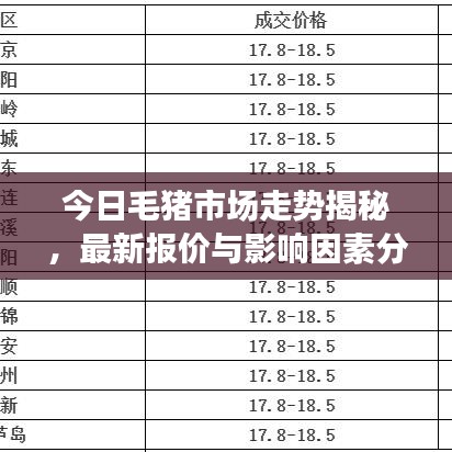 今日毛猪市场走势揭秘，最新报价与影响因素分析