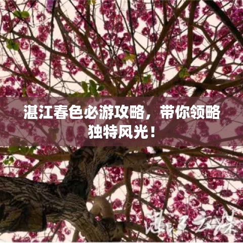 湛江春色必游攻略，带你领略独特风光！