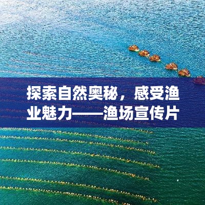 探索自然奥秘，感受渔业魅力——渔场宣传片带您领略生态之美