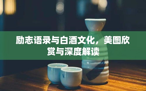励志语录与白酒文化，美图欣赏与深度解读