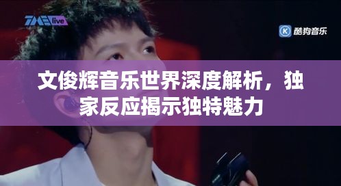 文俊辉音乐世界深度解析，独家反应揭示独特魅力