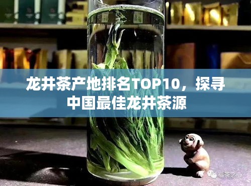 龙井茶产地排名TOP10，探寻中国最佳龙井茶源