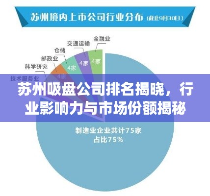 苏州吸盘公司排名揭晓，行业影响力与市场份额揭秘