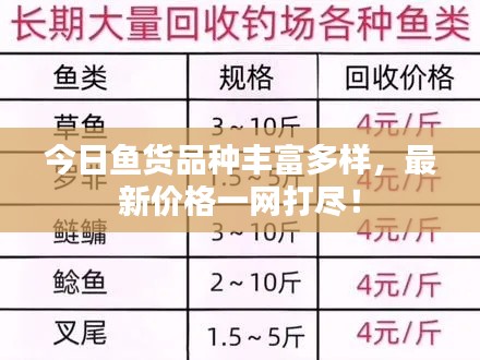 今日鱼货品种丰富多样，最新价格一网打尽！