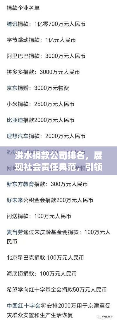 洪水捐款公司排名，展现社会责任典范，引领行业爱心力量