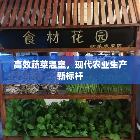 高效蔬菜温室，现代农业生产新标杆
