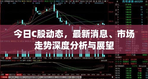 今日C股动态，最新消息、市场走势深度分析与展望