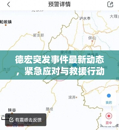 德宏突发事件最新动态，紧急应对与救援行动全面展开