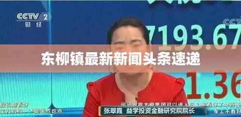 东柳镇最新新闻头条速递