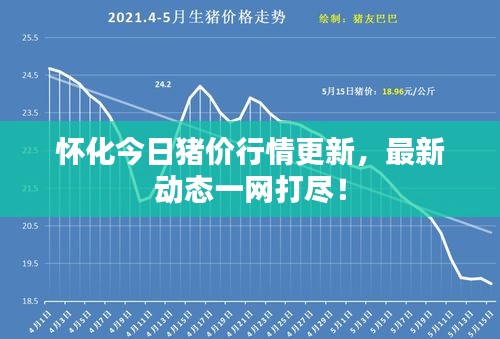 怀化今日猪价行情更新，最新动态一网打尽！