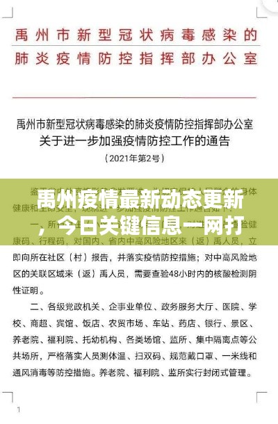 禹州疫情最新动态更新，今日关键信息一网打尽