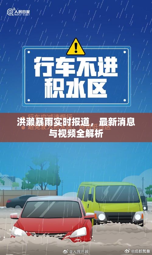 洪濑暴雨实时报道，最新消息与视频全解析