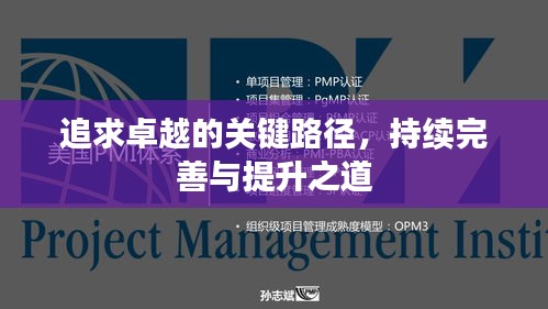 追求卓越的关键路径，持续完善与提升之道
