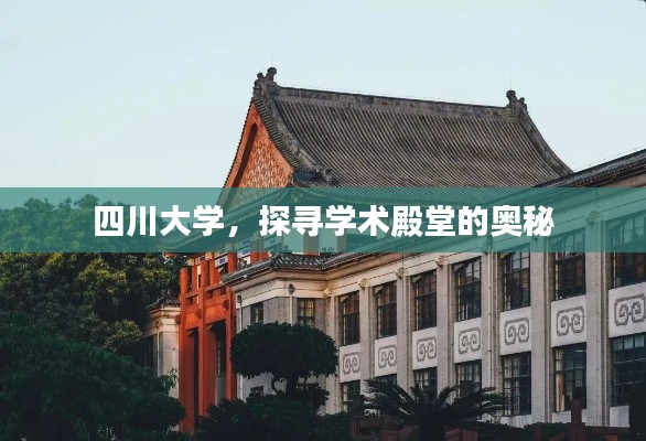 四川大学，探寻学术殿堂的奥秘