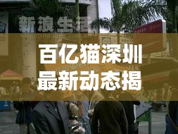 百亿猫深圳最新动态揭秘