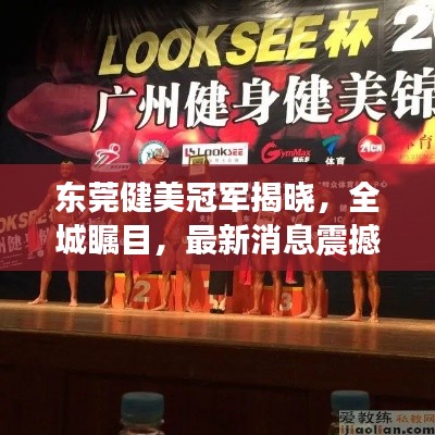 东莞健美冠军揭晓，全城瞩目，最新消息震撼来袭！