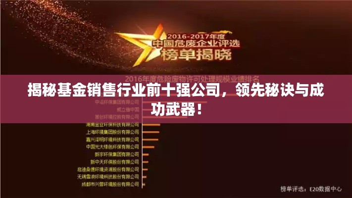 揭秘基金销售行业前十强公司，领先秘诀与成功武器！