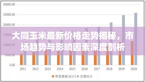 大同玉米最新价格走势揭秘，市场趋势与影响因素深度剖析