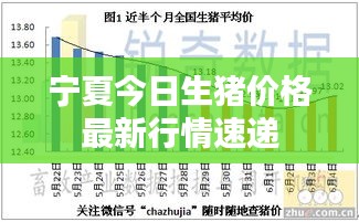 宁夏今日生猪价格最新行情速递