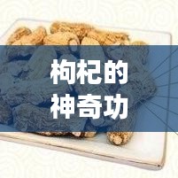 枸杞的神奇功效，百度带你探索奥秘！