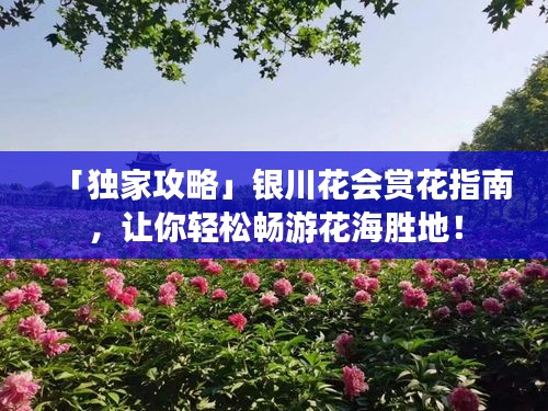 「独家攻略」银川花会赏花指南，让你轻松畅游花海胜地！