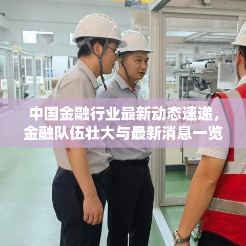 中国金融行业最新动态速递，金融队伍壮大与最新消息一览