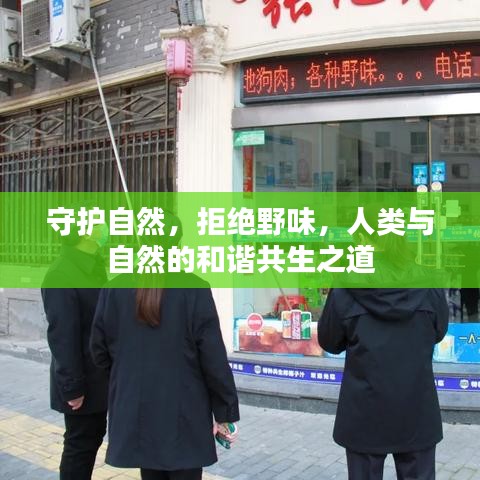守护自然，拒绝野味，人类与自然的和谐共生之道