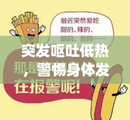 突发呕吐低热，警惕身体发出健康警报！