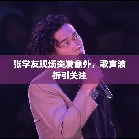 张学友现场突发意外，歌声波折引关注