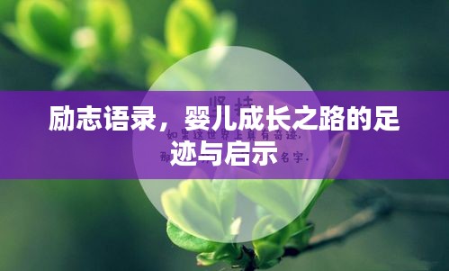 励志语录，婴儿成长之路的足迹与启示