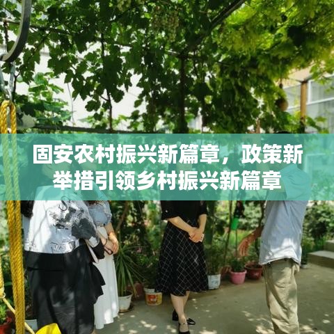 固安农村振兴新篇章，政策新举措引领乡村振兴新篇章