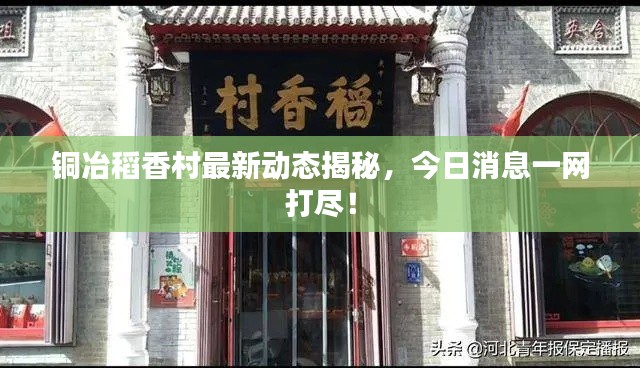 铜冶稻香村最新动态揭秘，今日消息一网打尽！