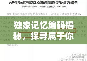 独家记忆编码揭秘，探寻属于你的独特记忆数字 1195