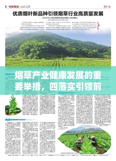 烟草产业健康发展的重要举措，四落实引领前行